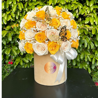 ROUND VECTOR ROSES